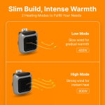 BlumeHeat image
